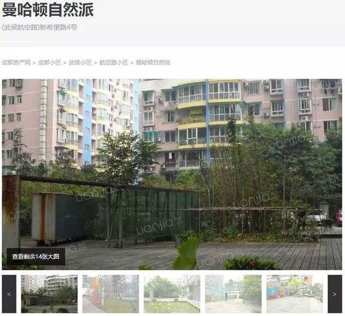 吃瓜群众的小区,邻里和谐，生活多姿多彩