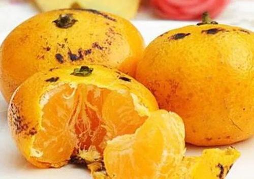 吃瓜少女大橘子,吃瓜少女大橘子的瓜田奇遇记