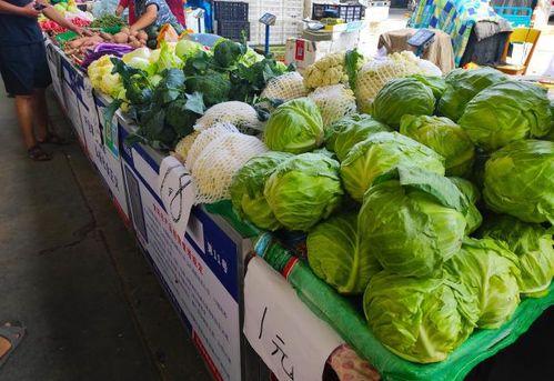 吃瓜摆阵,网络舆论场中的众生相