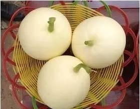 带你吃瓜买苹果,揭秘水果市场的那些事儿