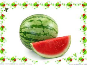 带你吃瓜课文,揭秘课文中的趣味故事