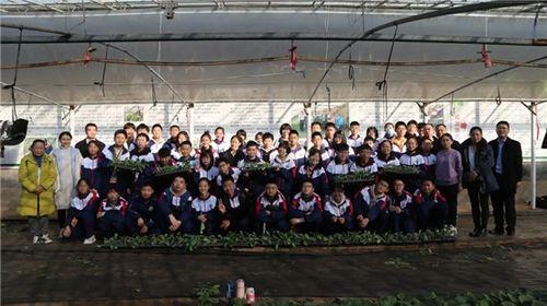 临邑实验中学吃瓜,揭秘校园里的“瓜田”趣事