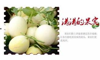 大苏带你吃瓜,揭秘娱乐圈那些事儿