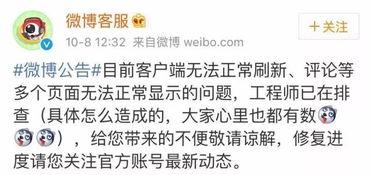 吃瓜女朋友告白,吃瓜女朋友的浪漫宣言