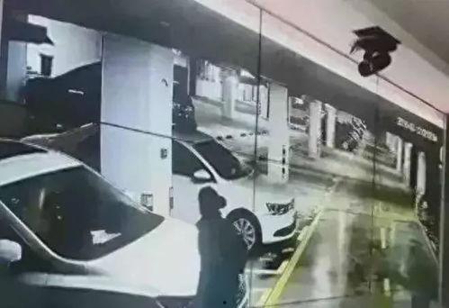 吃瓜车库视频,揭秘明星私生活幕后故事