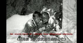 广河县吃瓜事件始末,一场网络热议背后的真相与反思