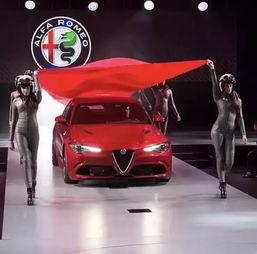 阿尔法罗密欧bba吃瓜,揭秘豪华车界的“瓜田”风云