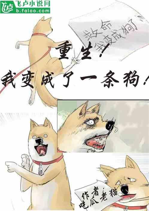 播放猫吃瓜,猫咪大快朵颐瓜果时光