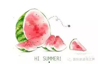 天气热吃瓜说说,清凉一“瓜”——探寻解暑吃瓜的乐趣