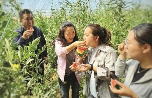 吃瓜吕梁,吃瓜群众的视角看地方风云