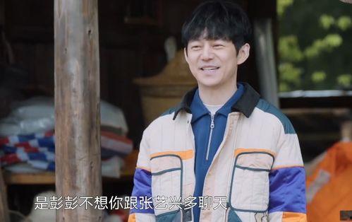 吃瓜小熊黄磊,揭秘娱乐圈的“瓜田”趣事