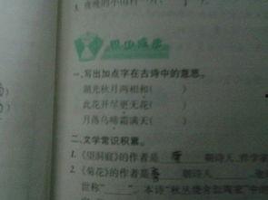 日记是吃哈密瓜200字