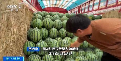 ktc吃瓜,揭秘娱乐圈背后的那些事儿