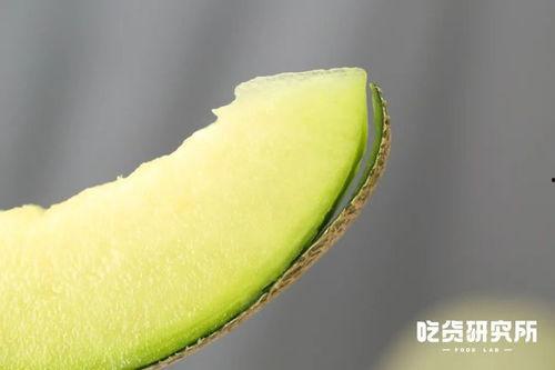 财大2022介吃瓜,揭秘校园美食盛宴背后的故事