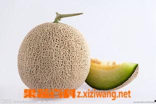 孕妇吃冰蜜瓜,孕妇适量食用冰蜜瓜的益处与注意事项