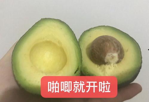 吃瓜搭档