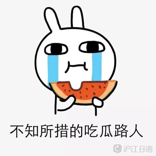 吃瓜小本,揭秘娱乐圈幕后故事