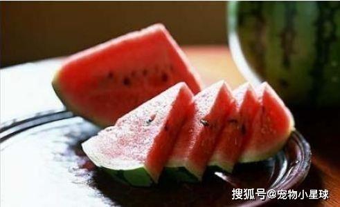 路过且吃瓜,一路吃瓜，一路笑谈